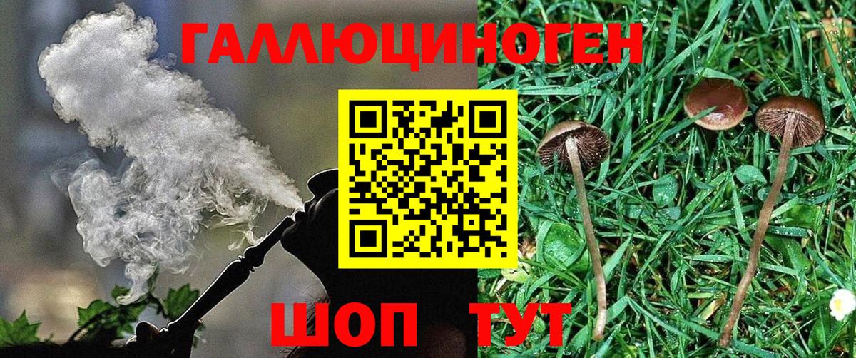 Чапаевск  Галлюциногенные грибы ЛСД  Вход с VPN 